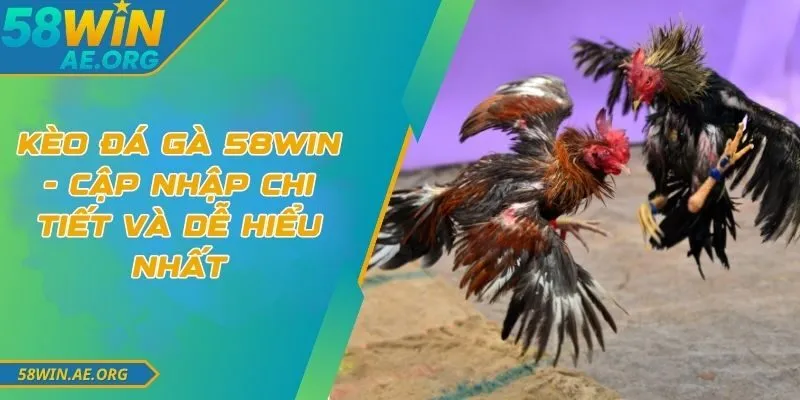 Kèo Đá Gà 58win - Cập Nhập Chi Tiết Và Dễ Hiểu Nhất 7 Kèo Đá Gà 58win - Cập Nhập Chi Tiết Và Dễ Hiểu Nhất