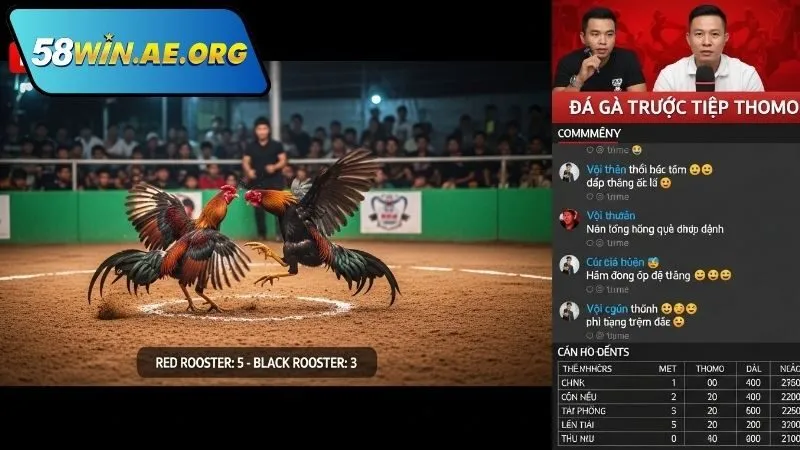 Các trận bình luận trực tiếp đá gà Thomo hôm nay nổi bật